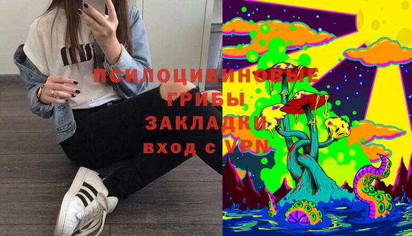 дмт Алексеевка