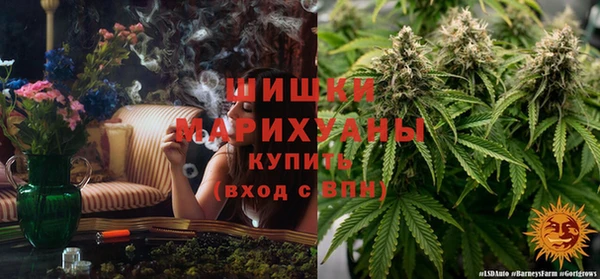 молекула духа Алзамай