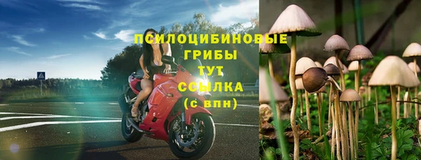 молекула духа Алзамай