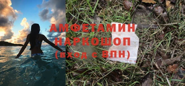 молекула духа Алзамай