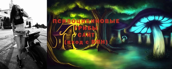 шишки Нефтегорск