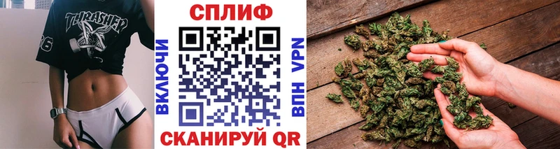 купить  сайты  Сосновка  Бошки марихуана Amnesia 